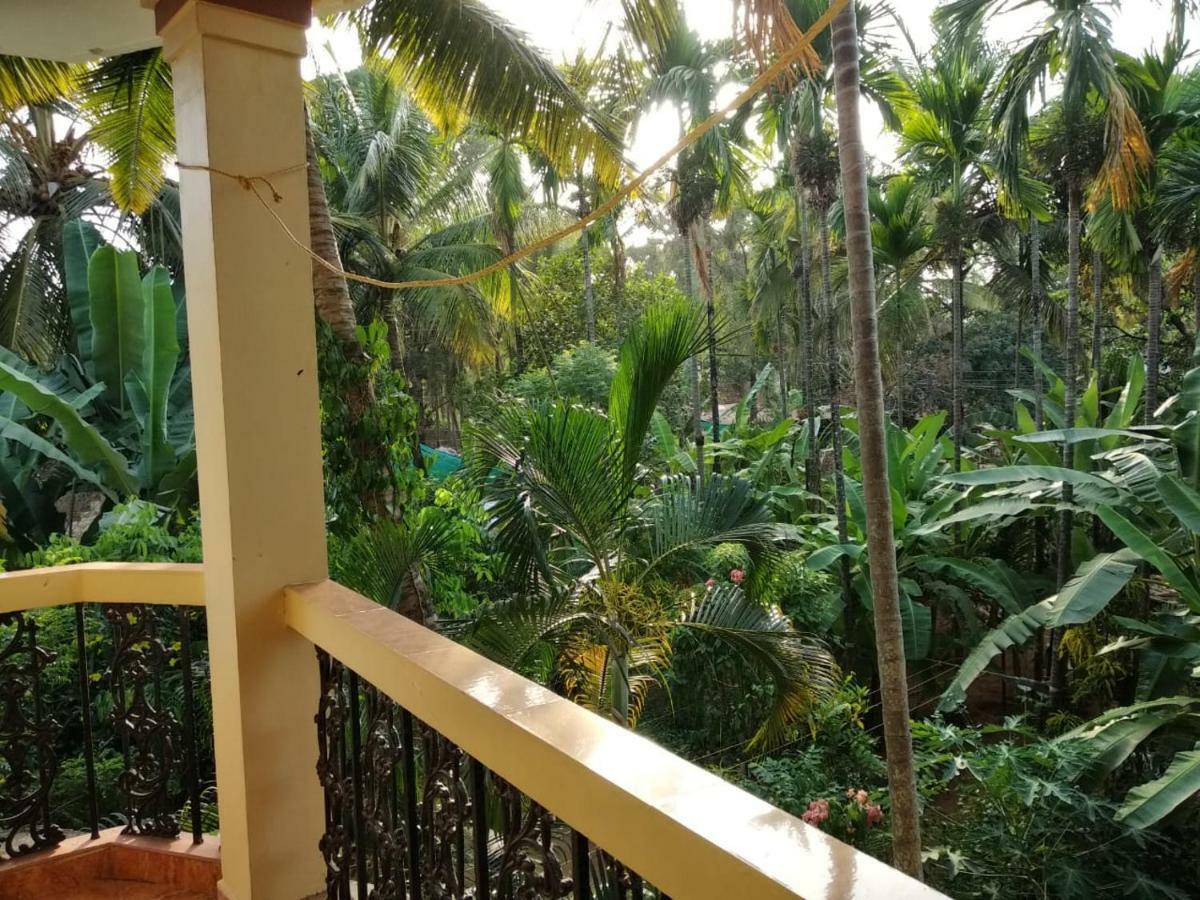 Indraprasth Apartment Palolem Dış mekan fotoğraf
